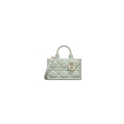 Mini Dior Book Tote